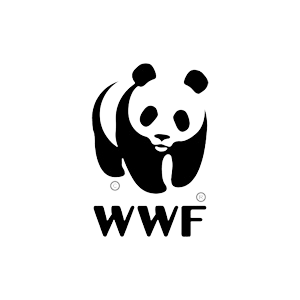 logo_wwf-removebg02